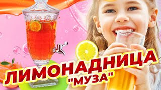 Лимонадница «Муза» от Leomax Артикул 2846301 [upl. by Sophy]