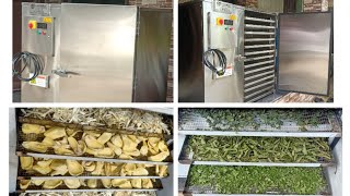 High quality best Food Dehydrator Heat Pump Dryer Ultimate Food Dehydrator Heat Pump Dryer [upl. by Jewett]