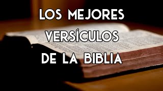 Los Versículos más IMPACTANTES e IMPORTANTES de la BIBLIA [upl. by Zoubek]