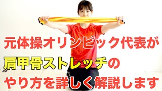 肩甲骨が柔らかくなるストレッチを解説します【リエトレ】【初心者向け】※タオルを使います。 [upl. by Beverie]