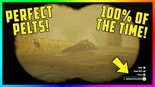 How To Hunt PERFECT Animal PeltsParts Every Time amp EASY Legendary Animals In Red Dead Redemption 2 [upl. by Attem275]