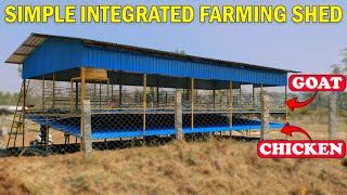 Simple Lowcost HiTech INTEGRATED GOAT Farm and POULTRY Farm Shed [upl. by Harvison]