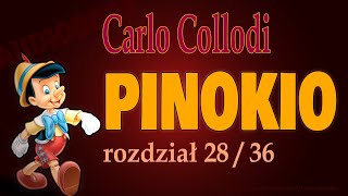 PINOKIO AUDIOBOOK  C Collodi  rozdział 2836  Pinokio wzięty za rybę i grozi mu usmażenie [upl. by Feodor420]