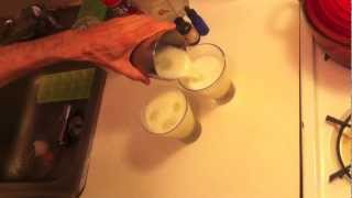 Tequila Sour  Receta [upl. by Lainahtan]