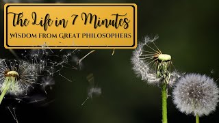 Life in 7 Minutes Wisdom from Great Philosophers [upl. by Aisyram]