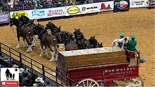 Clydesdale Wagon Team Mishap  2019 WRCA World Championship Ranch Rodeo Friday [upl. by Iznik]