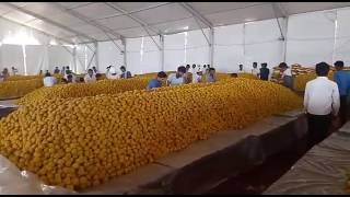 World record  The biggest bhandara  Rohtak on Kabir jayanti on 9 th june 2017 [upl. by Tav]