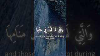 الله يتوقى الأنفس حين موتها🌊اكسبلور القرآنالكريم ياسرالدوسري تصميمي quran shorts viralshort [upl. by Haynor847]