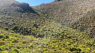 Chapmans Peak Hike  coming down Cape Town [upl. by Asilehs]