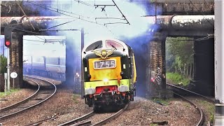 KING of DIESEL locomotives DELTIC D9000 Class 55022 RETURNS on ECML [upl. by Micky]