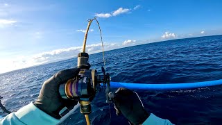 PERLAWANAN AMBERJACK VS RUBY SNAPPER ‼️ MANCING JIGGING ‼️ [upl. by Dadinirt]