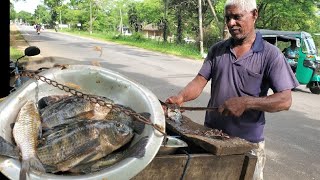 quotTHILAPIAquot 🐟 FISH CUTTING MASTERCLASS  LEARN THE SECRET TRICKS amp TECHNIQUES FROM EXPERT FISH CUTTER [upl. by Annavoeg48]