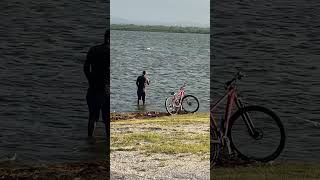 Pescando con atarraya  en mi pueblo Caibarién le llamamos tarraya Cuba [upl. by Asuncion]