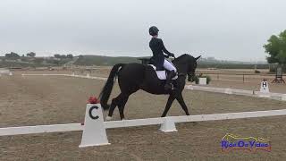 031D Gabriella Ringer on Get Wild CCI2 Short Dressage Twin Rivers Ranch Sept 2024 [upl. by Purse]