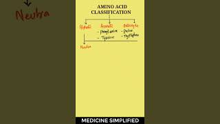 Amino Acids Classification  Classification of Amino Acids  Amino Acids biochemistry [upl. by Attenrev]