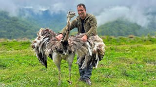 Cooking The Best Unimaginable Recipes In The Mountain Village Of Azerbaijan [upl. by Ardnosak]