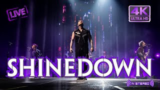 Shinedown  The Crow And The Butterfly Live  Stereo 4K [upl. by Kristoforo]