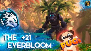 The Everbloom M21 PUGS ● Dragonflight Season 3 ● Guardian Druid Bear Tank POV WOW EB High Keys [upl. by Cedric]