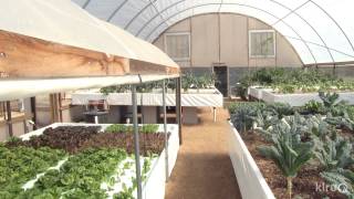 Aquaponics  Austin Aquaponics  Central Texas Gardener [upl. by Oigroig615]