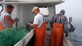 Hauling Gillnets off Chatham MA July 2009 [upl. by Letnwahs]