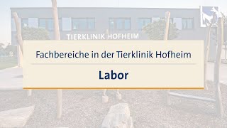 Fachbereiche in der Tierklinik Hofheim – Labor [upl. by Amandie]