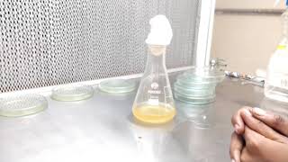 How to prepare agar plates how to store nutrient agar media for longtime how to prepare NAM plates [upl. by Aynat]