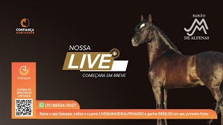 Live Haras Barão de Alfenas [upl. by Pinzler946]