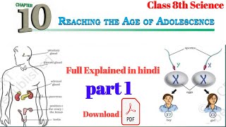 Reaching The Age of Adolescence  Class 8 Science Chapter 10  full chapter  part 1 [upl. by Liryc]