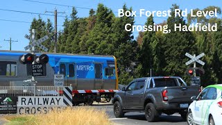 Box Forest Rd Level Crossing Hadfield  Melbourne Metro Railway Crossing [upl. by Gage]