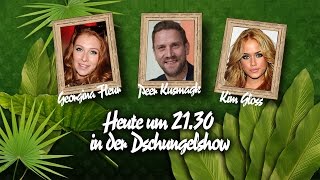 Die große BILDDschungelshow im LiveStream  22012016 [upl. by Leifer]