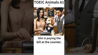 TOEIC Animal A1 77 語彙聞く [upl. by Damle]