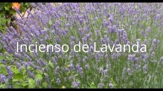 Cómo hacer INCIENSO de LAVANDA Tutorial [upl. by Ferrick956]