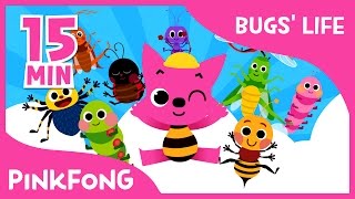 Bugs Life  Ants in My Pants and more  Compilation  Bug Songs  Pinkfong Songs for Children [upl. by Simaj]