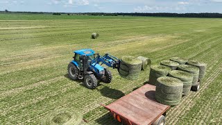 CANADIAN FARMER  INVASION LEAFHOPPERS blew in from down south No time to waste Harvest quickly [upl. by Chane]