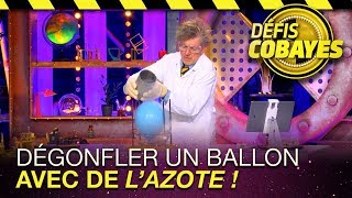 Dégonfler un ballon avec de lazote  Défis Cobayes  France 4 [upl. by Akinohs]