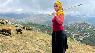 Daily Routine Village life in IRAN  Cooking Rural Style Food  IRAN Nomadic life [upl. by Cheyne237]