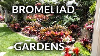 BROMELIAD GARDENS [upl. by Bremen]