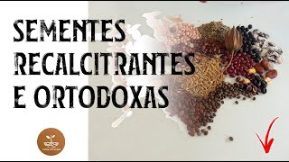 TIPOS DE SEMENTES  Recalcitrantes e Ortodoxas [upl. by Levan650]