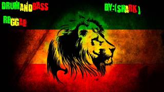 drum and bass reggae mix 5 by shark [upl. by Emmye]