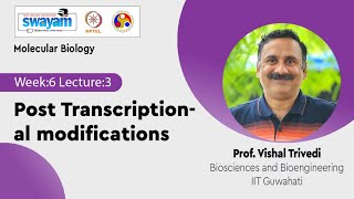 Lec 27 Post Transcriptional modifications [upl. by Martainn190]