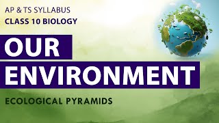 Class 10 OUR ENVIRONMENT in Telugu 10th Biology Chapter 9  AP amp TS Syllabus  FULL CHAPTER [upl. by Eladnek]