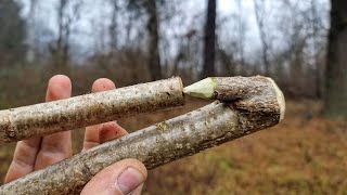 I made my first Primitive Atlatl from scratch [upl. by Nereids493]