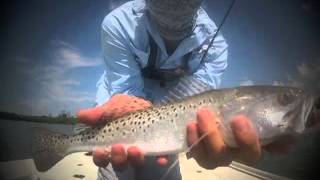 Fishing in Naples and Rookery Bay [upl. by Meekyh38]