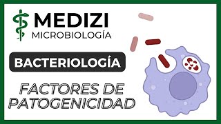 Celulitis infecciosa Síntomas causas factores de riesgo y tratamiento [upl. by Nolyar751]