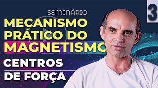 Centros de Força 3ª parte  Seminário com Adilson Mota  Taubaté  SP 2017 [upl. by Roselin933]