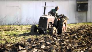 Ploughing up with International B250 and Massey Ferguson 797 plough [upl. by Aliemaj]