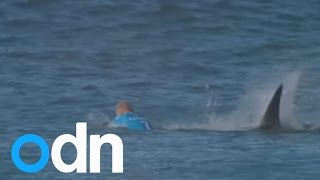 Surfer fights off shark attack on live TV [upl. by Faustina]