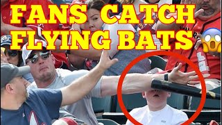 MLB  Amazing Catch of Flying Bat by Fans [upl. by Kcirdef]