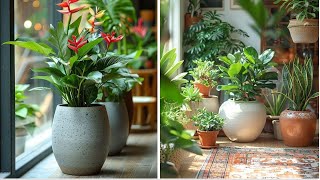 home decor ideas with plants [upl. by Barny]