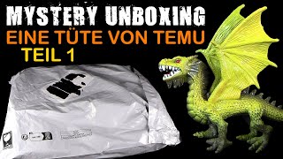 Mystery Unboxing  eine Tüte von Temu  Juni 2024  Teil 1 von 2  Danke Less [upl. by Bencion18]